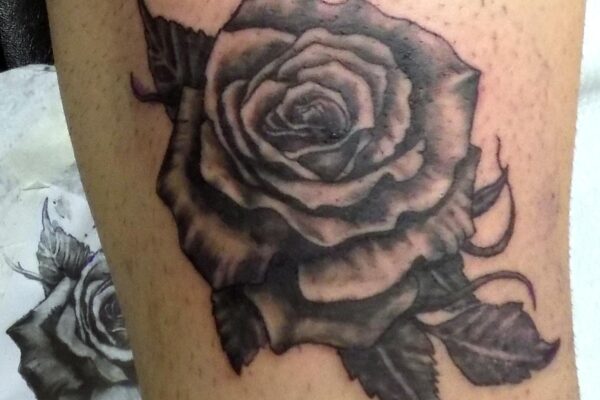 29