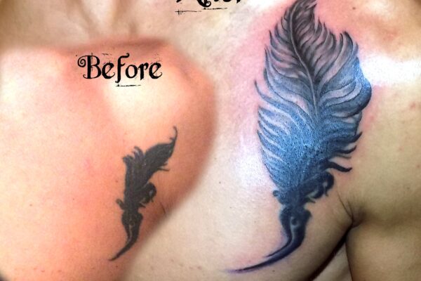 feather