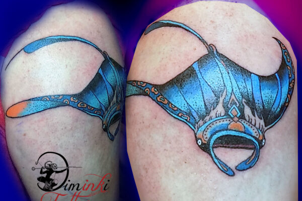 manta-ray