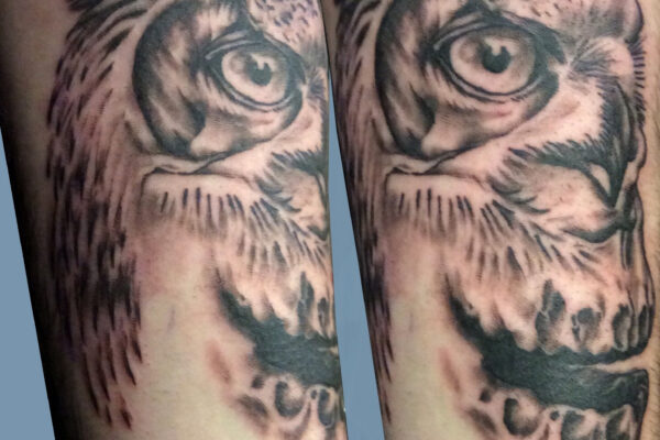 owlscull