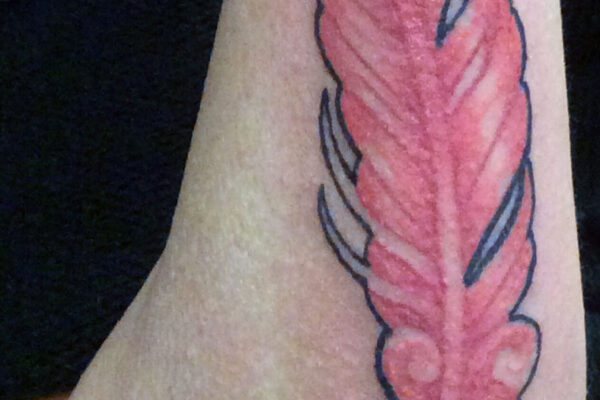pink-feather