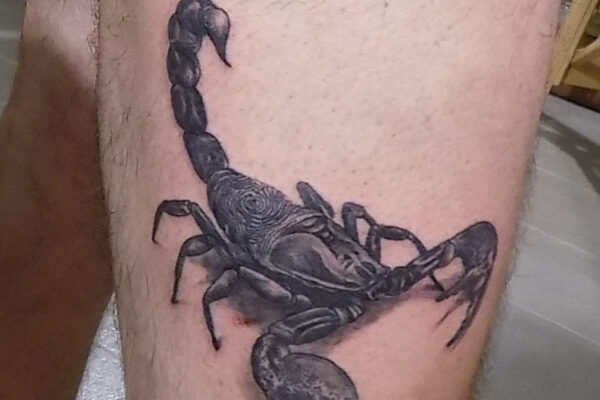 scorpiao