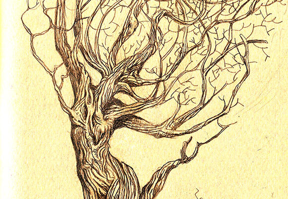 tree-of-life