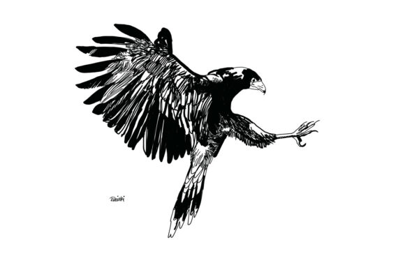 untitled_artwork-1