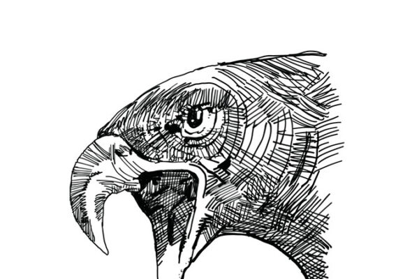 untitled_artwork-5