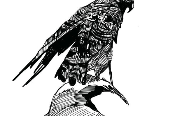 untitled_artwork-6