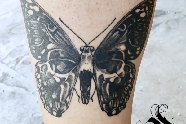 butterfly skull moth