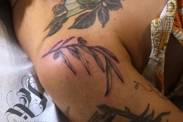 olive branch tattoo