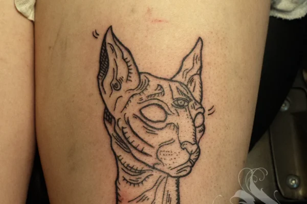 only lines cat tattoo