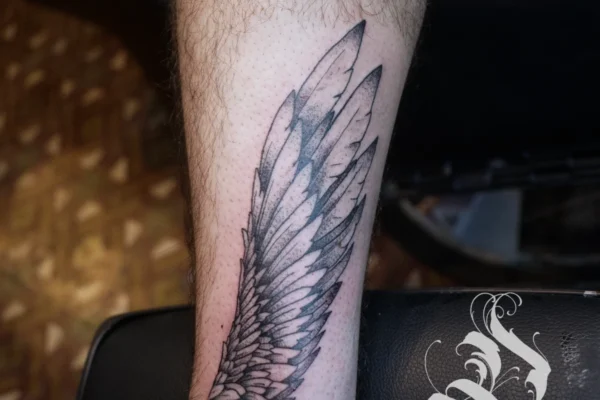 leg wings