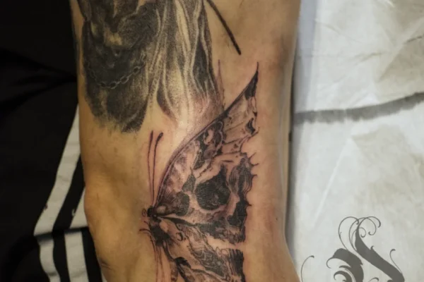 butterfly skull