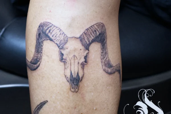 goat skull tattoo